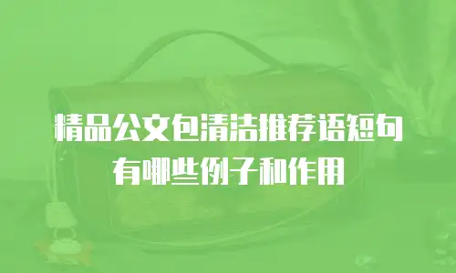 精品公文包清洁推荐语短句有哪些例子和作用