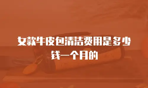 女款牛皮包清洁费用是多少钱一个月的