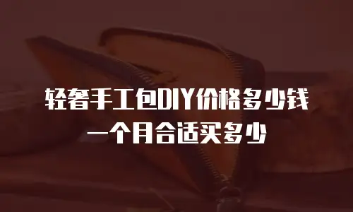 轻奢手工包DIY价格多少钱一个月合适买多少