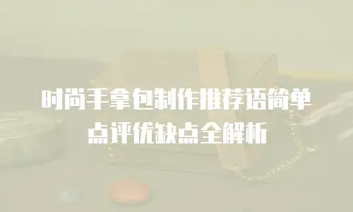 时尚手拿包制作推荐语简单点评优缺点全解析
