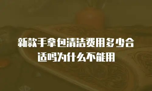 新款手拿包清洁费用多少合适吗为什么不能用
