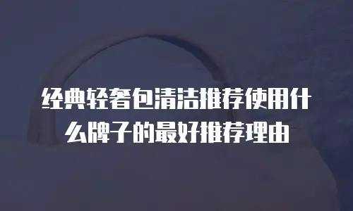 经典轻奢包清洁推荐使用什么牌子的最好推荐理由