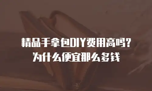 精品手拿包DIY费用高吗？为什么便宜那么多钱