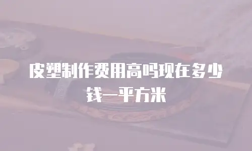 皮塑制作费用高吗现在多少钱一平方米