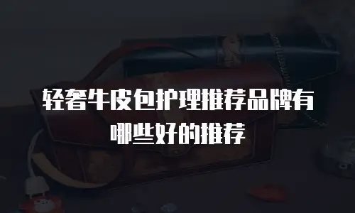 轻奢牛皮包护理推荐品牌有哪些好的推荐