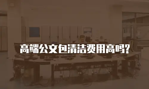 高端公文包清洁费用高吗?