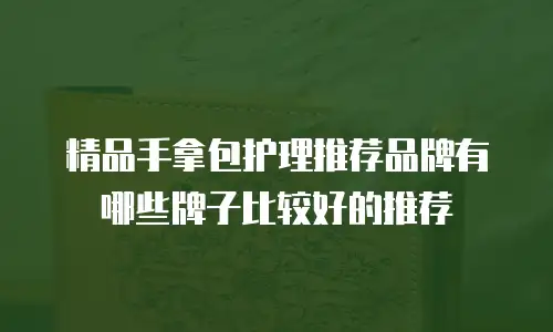 精品手拿包护理推荐品牌有哪些牌子比较好的推荐