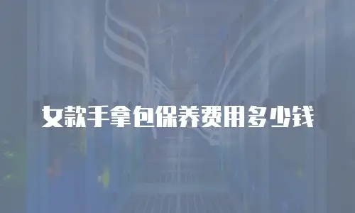 女款手拿包保养费用多少钱