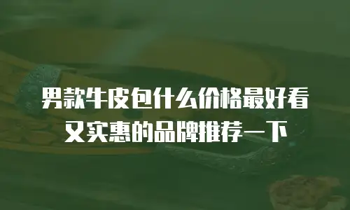 男款牛皮包什么价格最好看又实惠的品牌推荐一下