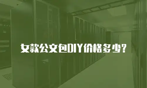 女款公文包DIY价格多少？