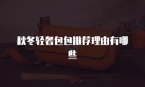 秋冬轻奢包包推荐理由有哪些