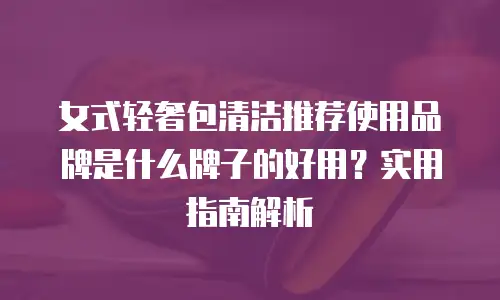 女式轻奢包清洁推荐使用品牌是什么牌子的好用？实用指南解析