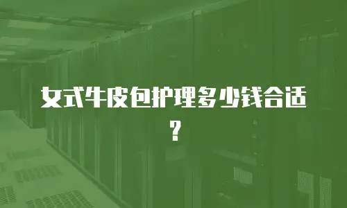 女式牛皮包护理多少钱合适？