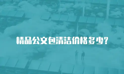 精品公文包清洁价格多少？
