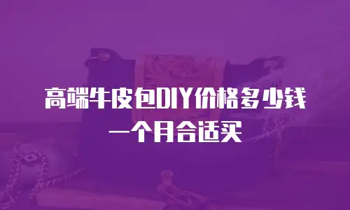 高端牛皮包DIY价格多少钱一个月合适买