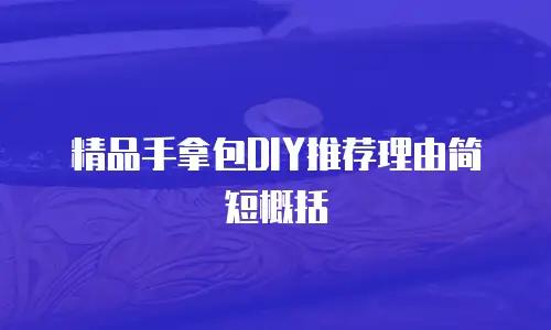 精品手拿包DIY推荐理由简短概括