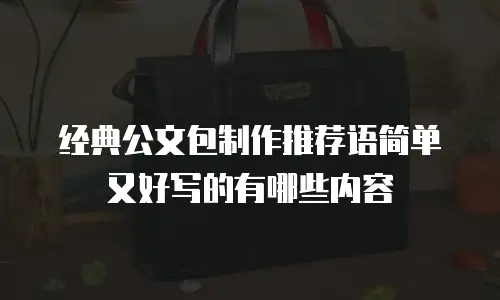 经典公文包制作推荐语简单又好写的有哪些内容