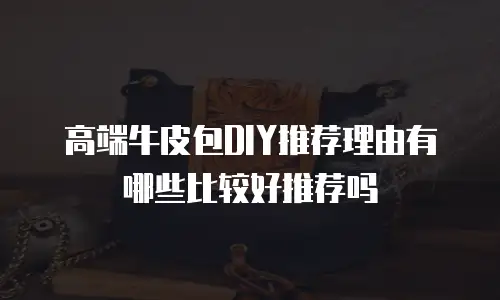 高端牛皮包DIY推荐理由有哪些比较好推荐吗
