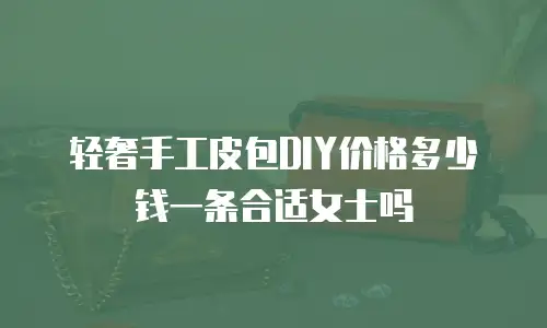 轻奢手工皮包DIY价格多少钱一条合适女士吗