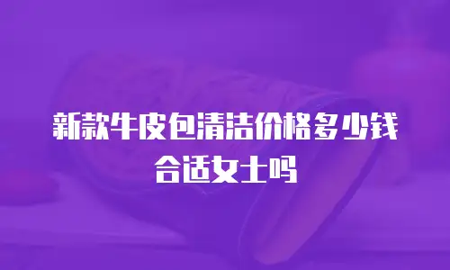 新款牛皮包清洁价格多少钱合适女士吗