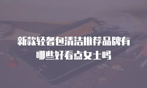 新款轻奢包清洁推荐品牌有哪些好看点女士吗