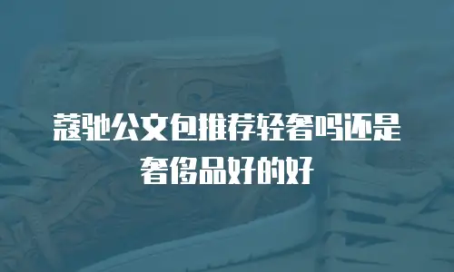 蔻驰公文包推荐轻奢吗还是奢侈品好的好