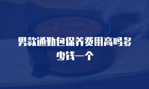 男款通勤包保养费用高吗多少钱一个
