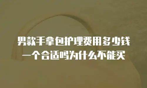 男款手拿包护理费用多少钱一个合适吗为什么不能买