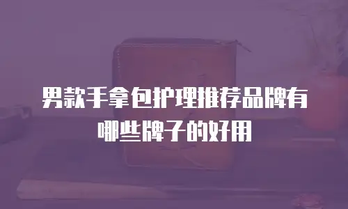 男款手拿包护理推荐品牌有哪些牌子的好用