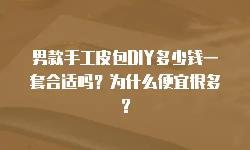 男款手工皮包DIY多少钱一套合适吗？为什么便宜很多？