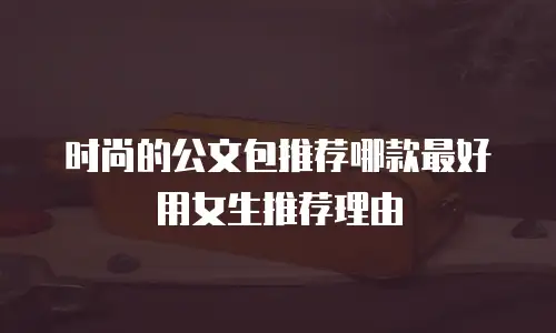 时尚的公文包推荐哪款最好用女生推荐理由