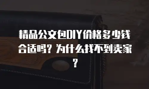 精品公文包DIY价格多少钱合适吗？为什么找不到卖家？