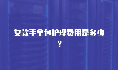 女款手拿包护理费用是多少？