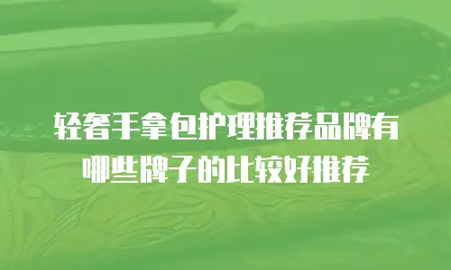 轻奢手拿包护理推荐品牌有哪些牌子的比较好推荐