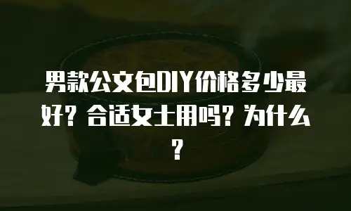 男款公文包DIY价格多少最好？合适女士用吗？为什么？