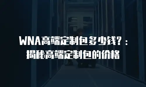 WNA高端定制包多少钱？：揭秘高端定制包的价格
