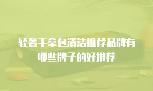 轻奢手拿包清洁推荐品牌有哪些牌子的好推荐