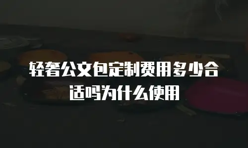 轻奢公文包定制费用多少合适吗为什么使用