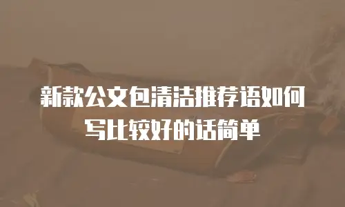 新款公文包清洁推荐语如何写比较好的话简单