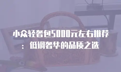小众轻奢包5000元左右推荐：低调奢华的品质之选