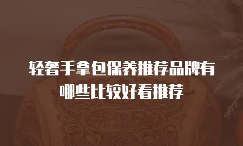 轻奢手拿包保养推荐品牌有哪些比较好看推荐