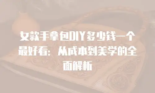 女款手拿包DIY多少钱一个最好看：从成本到美学的全面解析