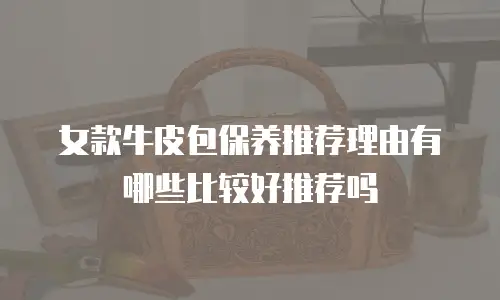 女款牛皮包保养推荐理由有哪些比较好推荐吗