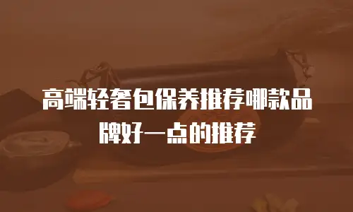 高端轻奢包保养推荐哪款品牌好一点的推荐