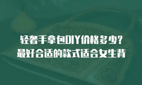 轻奢手拿包DIY价格多少？最好合适的款式适合女生背