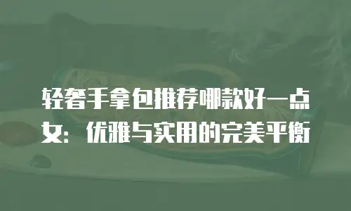 轻奢手拿包推荐哪款好一点女：优雅与实用的完美平衡