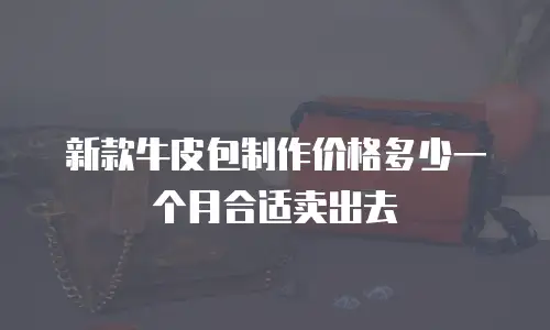 新款牛皮包制作价格多少一个月合适卖出去
