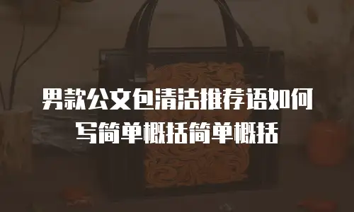 男款公文包清洁推荐语如何写简单概括简单概括