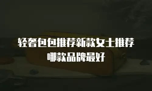 轻奢包包推荐新款女士推荐哪款品牌最好