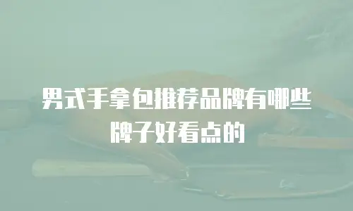 男式手拿包推荐品牌有哪些牌子好看点的